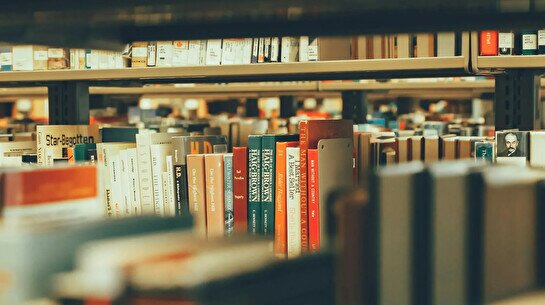 Book Fest 2024 в Меломане