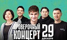 Проверочный Stand Up концерт (29 декабря)