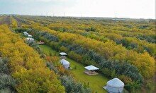 Вечеринка Nura Riviera