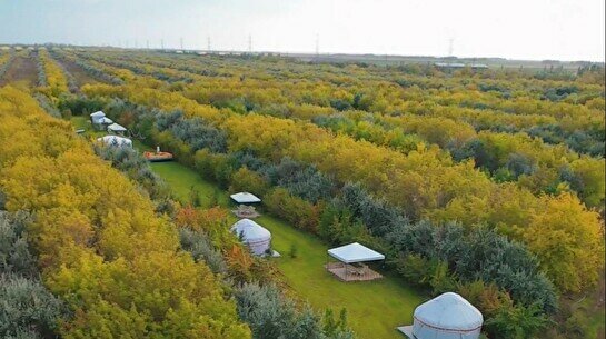 Вечеринка Nura Riviera