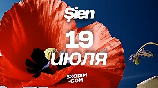 Фестиваль электронной музыки Şien