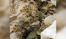 Тур «Ыбык (Ажурный каньон) и Караман Ата»