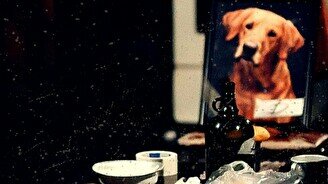 Спектакль «Сиротливый запад»