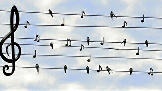 Концерт альтернатив-фолк-группы Steppe Sons