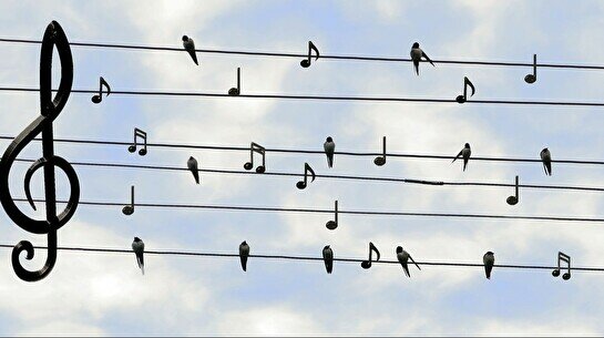 Концерт альтернатив-фолк-группы Steppe Sons