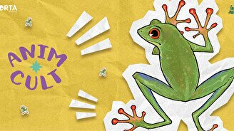 «Город засыпает просыпается аниматор» by AnimCULT & ORTA