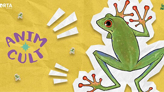 «Город засыпает просыпается аниматор» by AnimCULT & ORTA