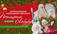 Интерактивное новогоднее шоу: Похищение Лабубу