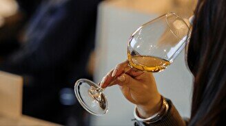 Винная дегустация «Международный день Карменера»