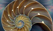 Лекция «Философия для жизни. Лето со смыслом»