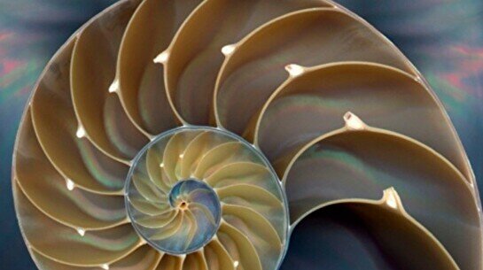 Лекция «Философия для жизни. Лето со смыслом»