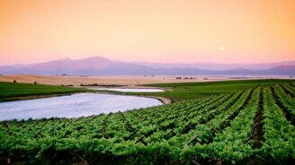 Дегустация вин Южной Африки