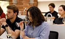 Пятидневная Академия по винам Южной Африки