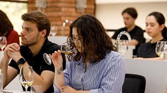 Пятидневная Академия по винам Южной Африки