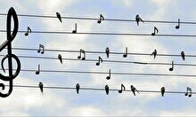 Концерт альтернатив-фолк-группы Steppe Sons