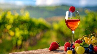 Винная дегустация «Вина Солнечной Апулии»