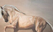 Выставка-продажа AQ JORǴA