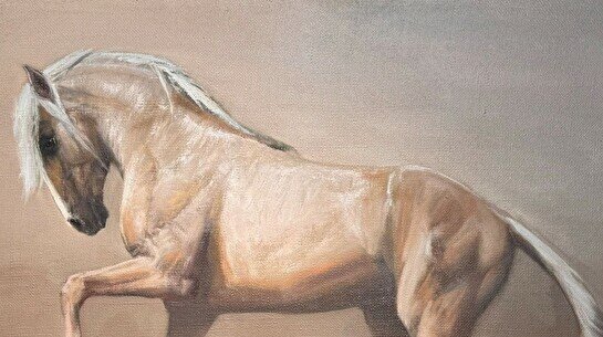 Выставка-продажа AQ JORǴA