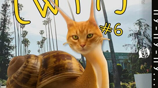 Квиз, плиз! (WTF) #6