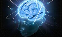 Квиз, плиз! (включаем логику) #2