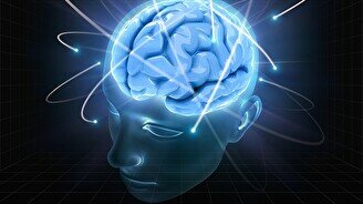 Квиз, плиз! (включаем логику) #2