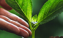 День Земли в пространстве «Текстосфера»