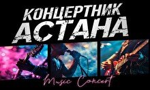 Концертник группы «Crisis среднего возраста»