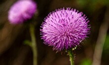 День Земли в пространстве «Текстосфера»