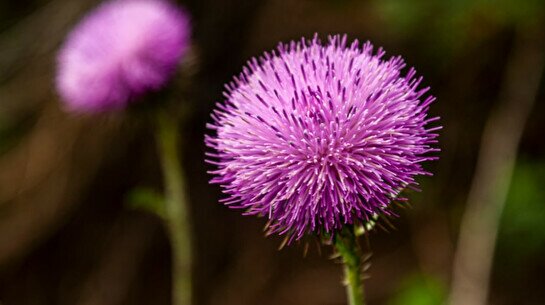 День Земли в пространстве «Текстосфера»