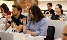 Винная дегустация «Bodegas Roda»