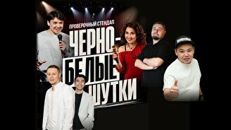 Проверочный стендап «Черно-белые шутки» (Stand Up Bar «Pozitiv»)