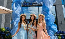 Вечеринка Hawaii Party