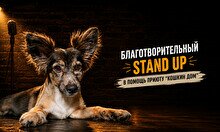 Благотворительный Stand Up в помощь приюту «Кошкин Дом»