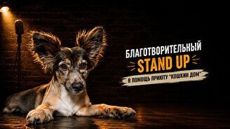 Благотворительный Stand Up в помощь приюту «Кошкин Дом»