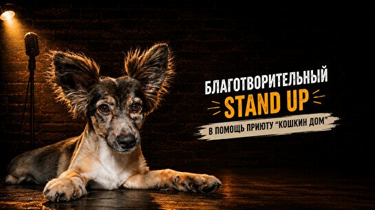 Благотворительный Stand Up в помощь приюту «Кошкин Дом»