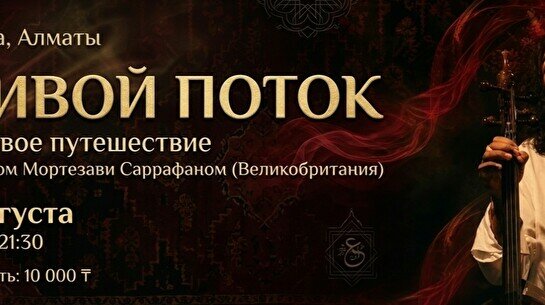 Концерт «Живой поток»: звуковое путешествие с Арианом Мортезави Саррафаном (Великобритания)