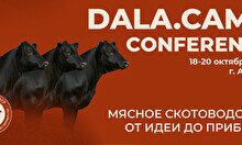 Обучающий интенсив «Dala.Camp — Мясное скотоводство: от идеи до прибыли»