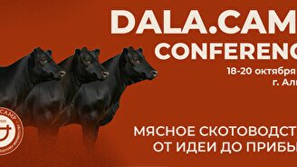 Обучающий интенсив «Dala.Camp — Мясное скотоводство: от идеи до прибыли»