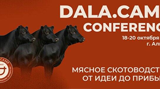 Обучающий интенсив «Dala.Camp — Мясное скотоводство: от идеи до прибыли»