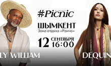 Picnic by Partners