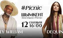 Picnic by Partners