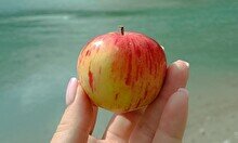 Индивидуальная экскурсия «Плато Ассы, озеро Иссык и Тургеньский водопад»