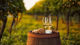 Винная дегустация Sparkling wine