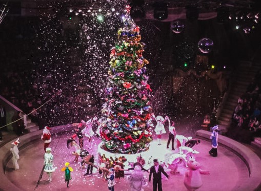 dedushka_moroz_i_snegurochka_stali_uchastnikami_neveroyatnogo_cirkovogo_predstavleniya-2-745x373
