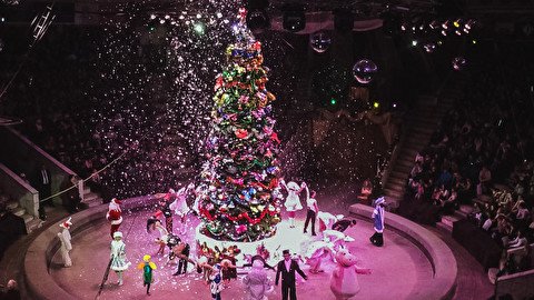 Куда сходить на выходные (22-24 декабря)